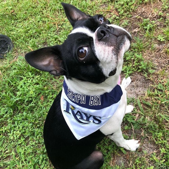 Meet your Posher, Madison - Picture 10 of 10